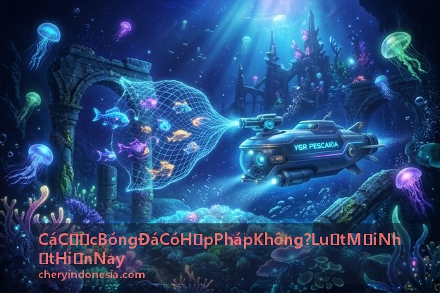 Cá cược bóng đá hợp pháp được cấp phép theo luật mới nhất hiện nay